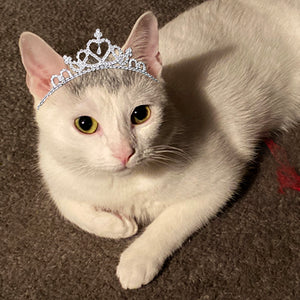 Meet Princess Thea – Cat GODDESS of LIGHT