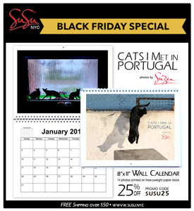 Cats I Met in Portugal - 2020 Wall Photo Calendar